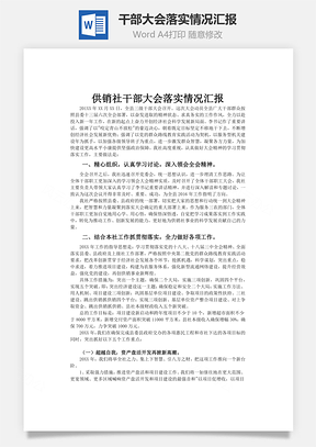 干部大会落实情况汇报word文档