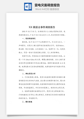 雷电灾害调查报告Word模板