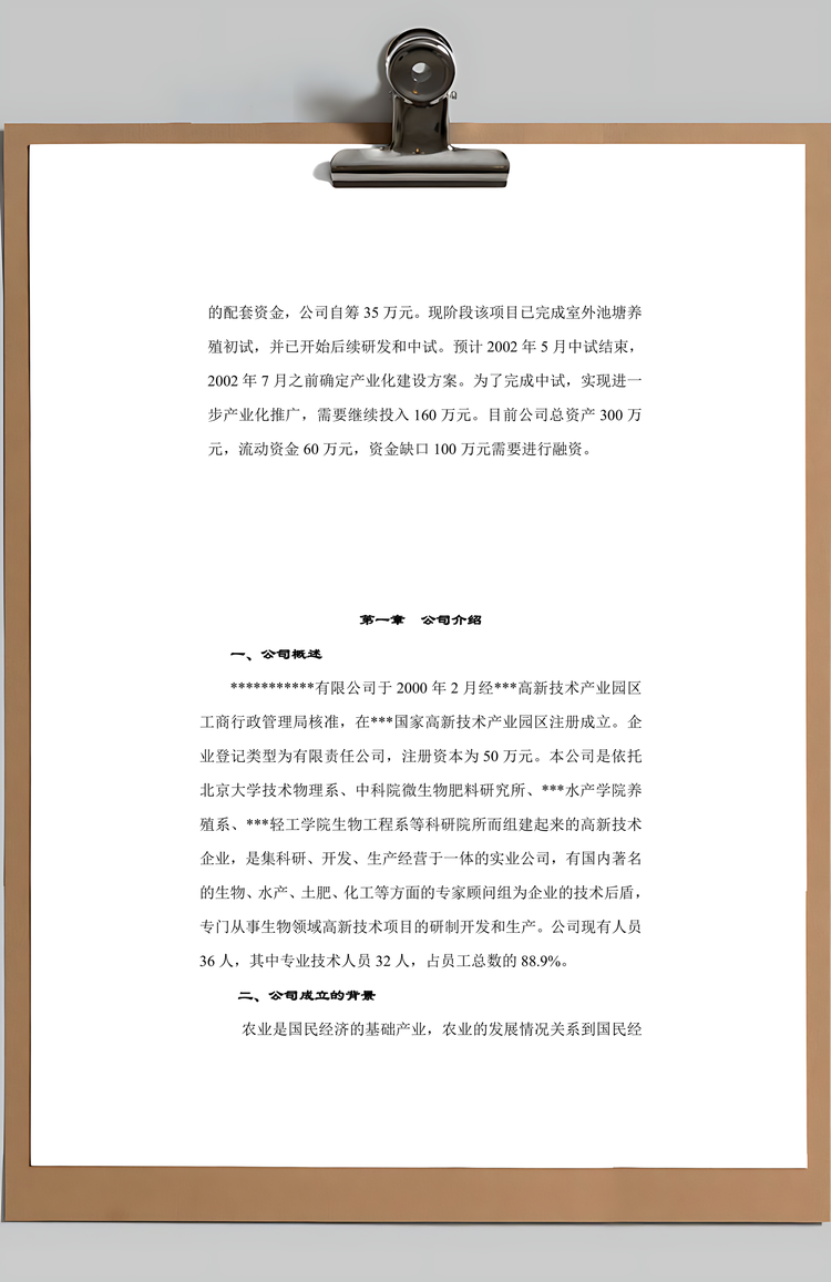 生物肥商业计划书Word模板