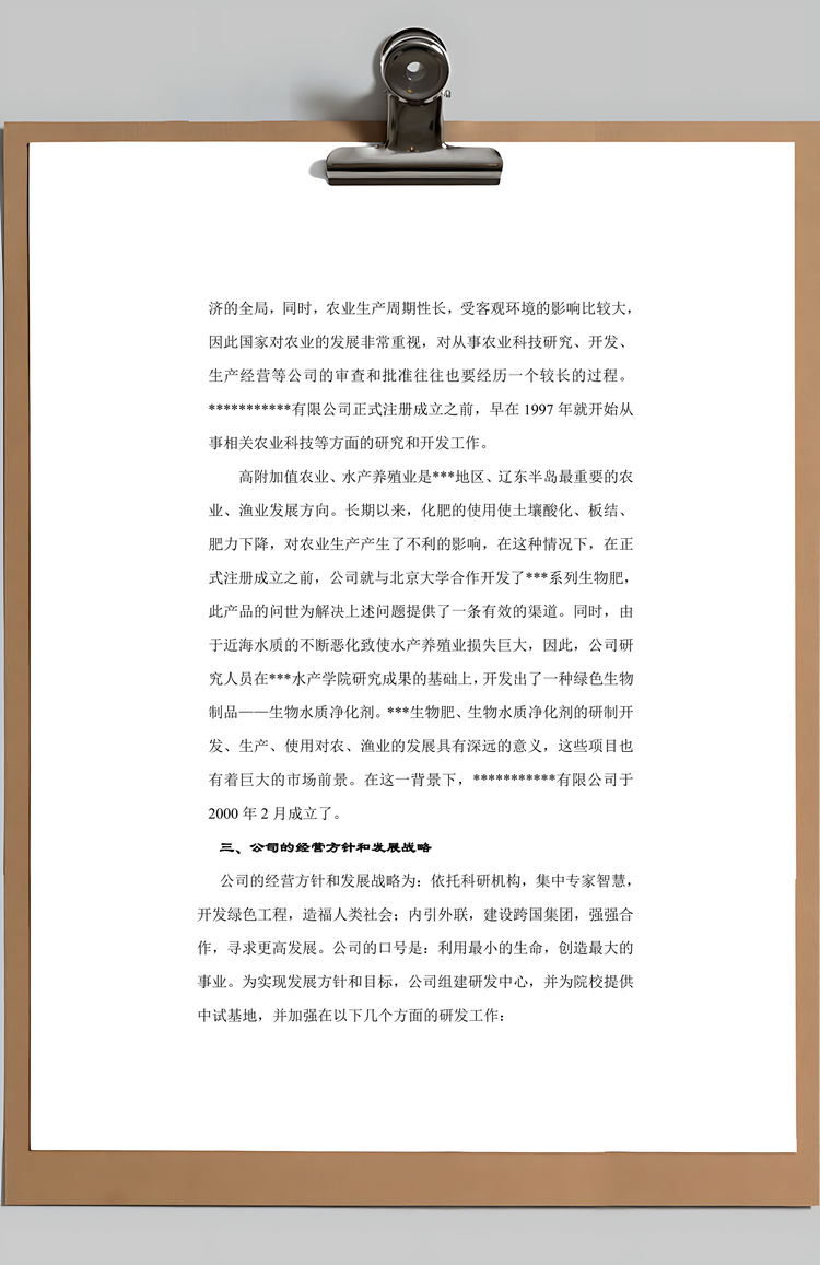 生物肥商业计划书Word模板