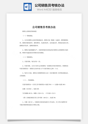 公司销售员考核办法word文档