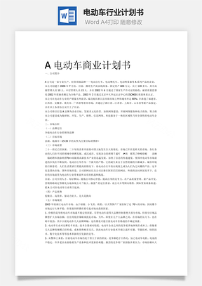 电动车行业计划书Word模板