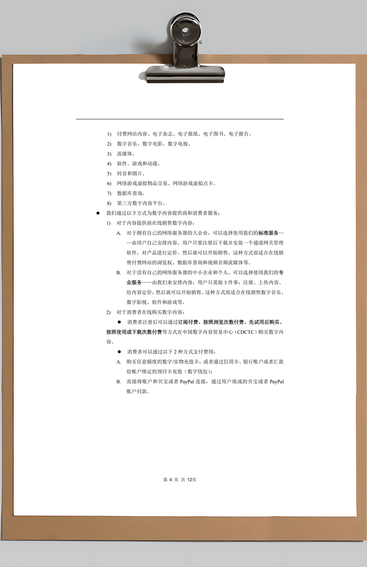 创新数字文化发展商业计划书Word模板