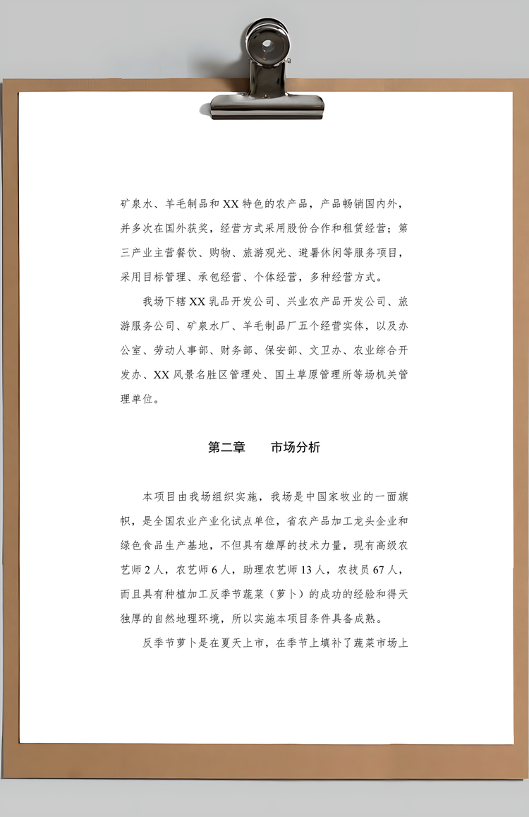 反季节蔬菜加工项目商业计划Word模板