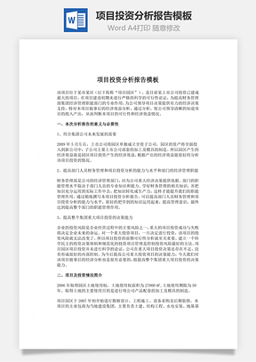 项目投资分析报告模板word文档