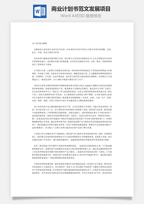 商业计划书范文发展项目Word模板