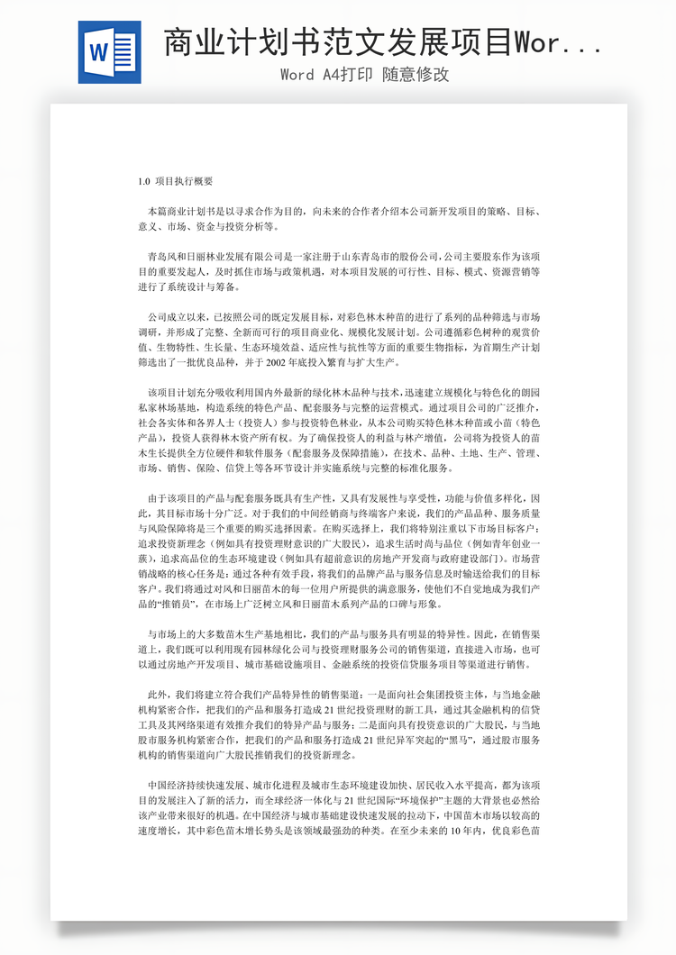 商业计划书范文发展项目Word模板