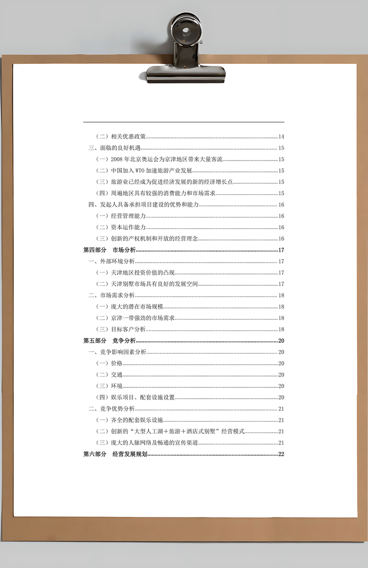 酒店式湖景别墅商业计划书Word模板