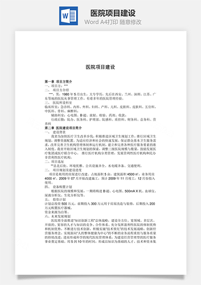 醫(yī)院項目建設word文檔