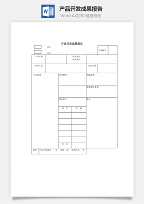 产品开发成果报告Word文档