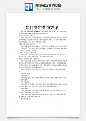 如何制定营销方案word文档