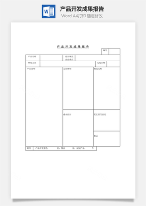 产品开发成果报告Word文档