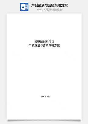 产品策划与营销策略方案Word模板