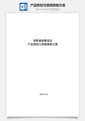 产品策划与营销策略方案word文档