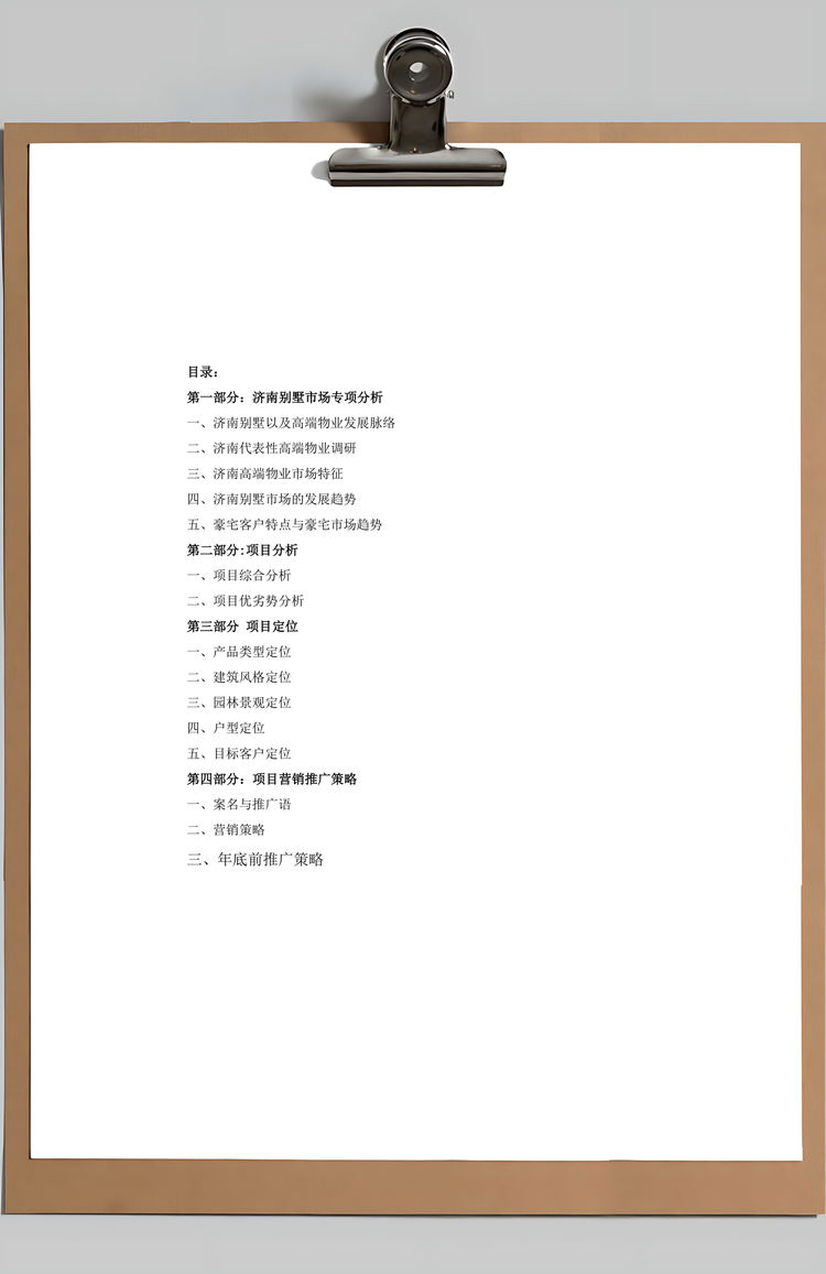 产品策划与营销策略方案Word模板