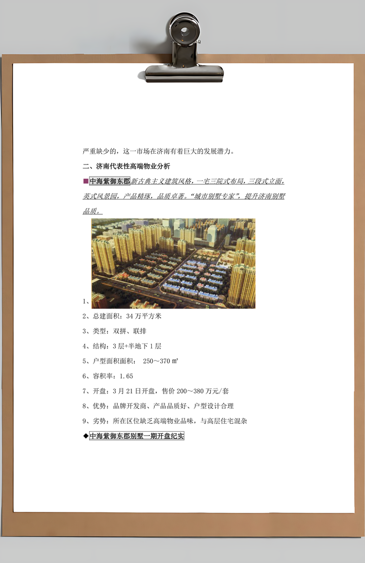 产品策划与营销策略方案Word模板