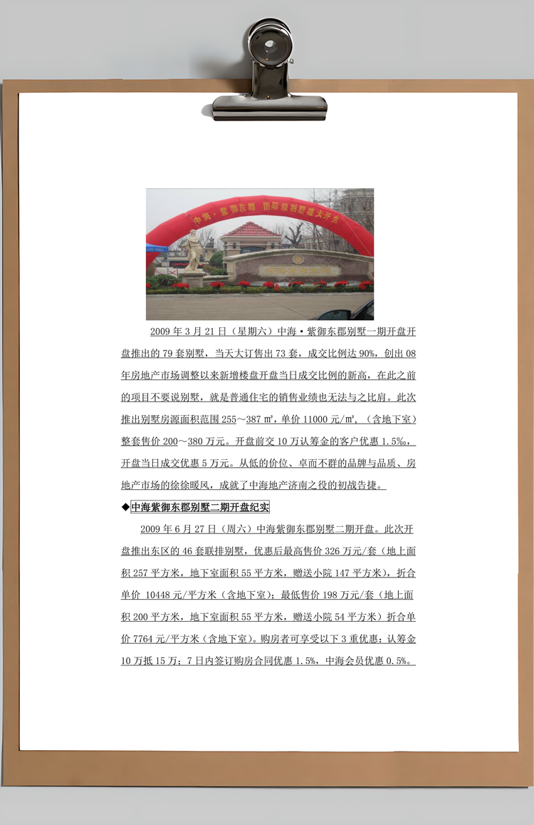 产品策划与营销策略方案Word模板