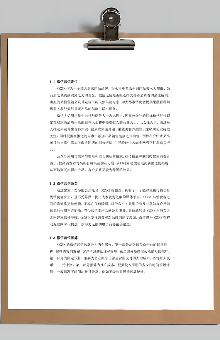 word微信营销策划方案Word模板