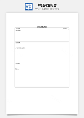 产品开发报告Word模板