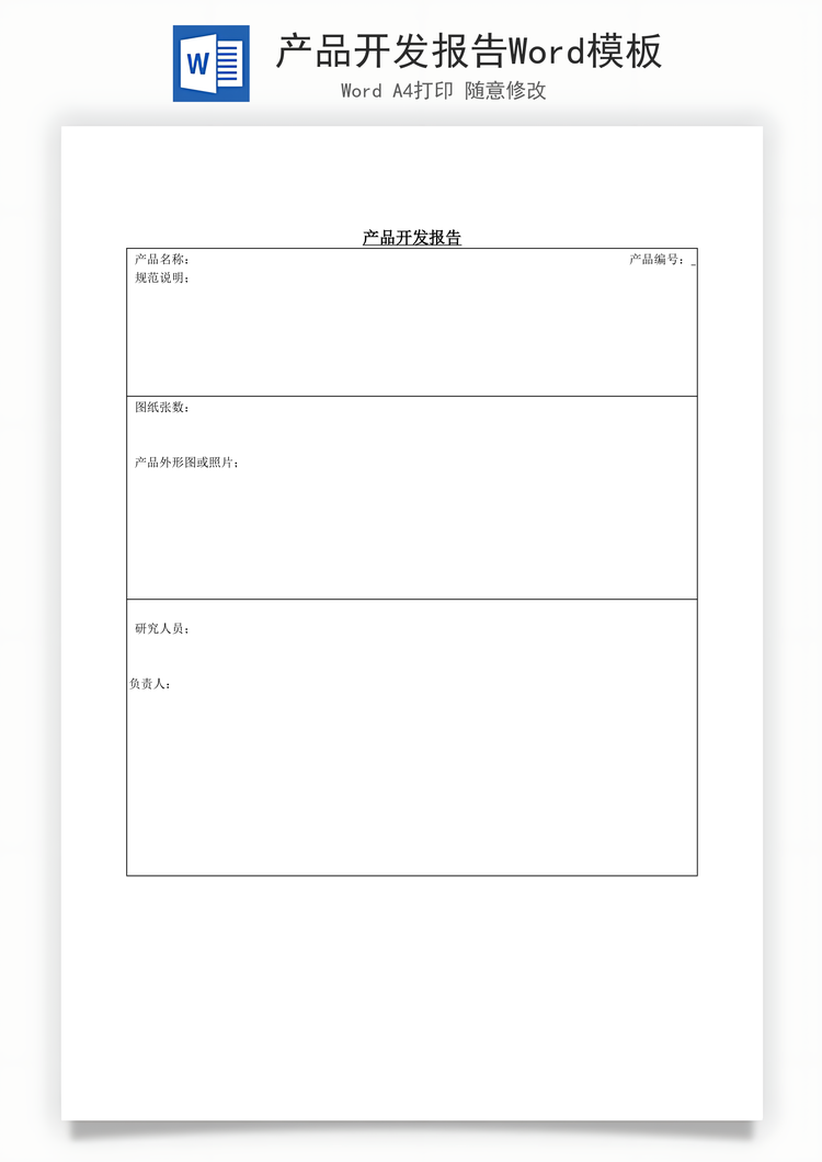 产品开发报告Word模板