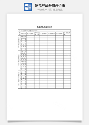 家电产品开发评价表Word文档