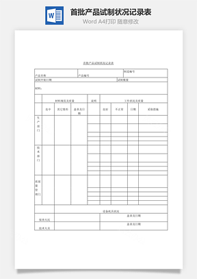 首批产品试制状况记录表Word文档