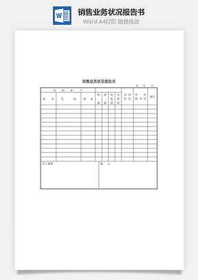 销售业务状况报告书Word文档