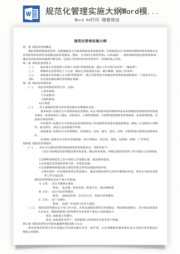 规范化管理实施大纲Word模板