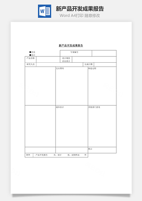 新产品开发成果报告Word文档