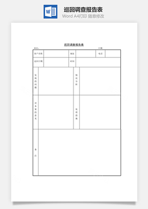 巡回调查报告表Word文档