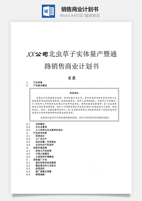 销售商业计划书Word模板