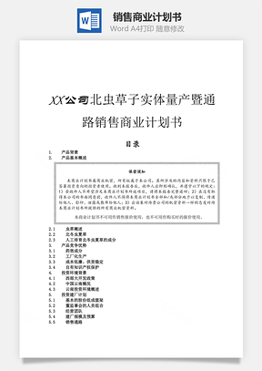 銷售商業(yè)計(jì)劃書word文檔