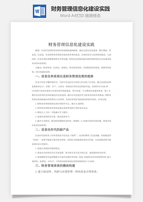 财务管理信息化建设实践word文档