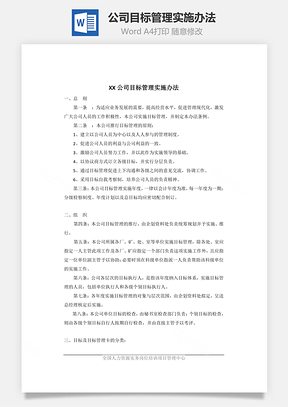 公司目标管理实施办法word文档