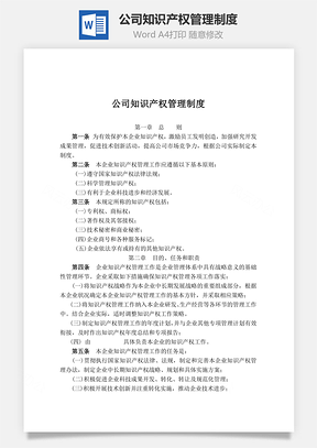 公司知识产权管理制度word文档