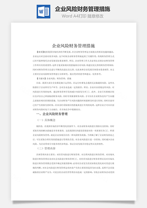 企业风险财务管理措施word文档