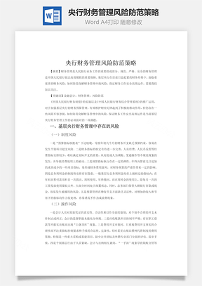 央行财务管理风险防范策略word文档