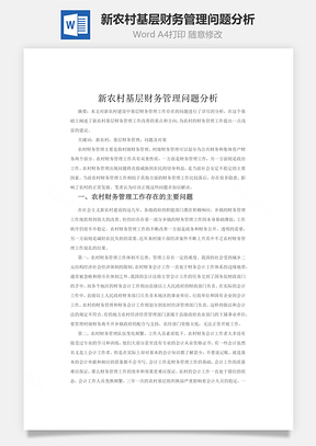 新农村基层财务管理问题分析word文档