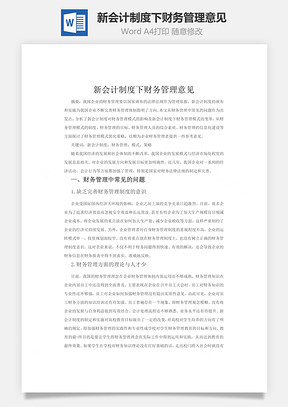 新会计制度下财务管理意见Word模板