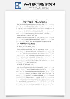 新会计制度下财务管理意见word文档