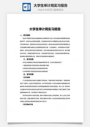 大学生审计局实习报告Word模板