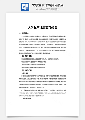 大学生审计局实习报告word文档