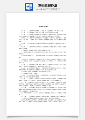 车辆管理办法Word文档