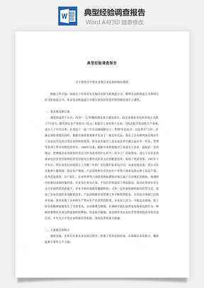 典型经验调查报告Word文档