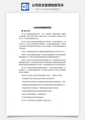 公司安全管理制度范本Word文档