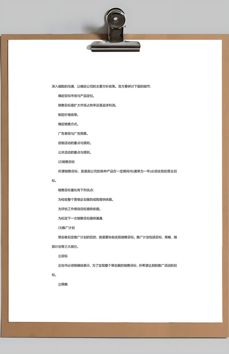 企业项目策划书创业计划书模板Word模板