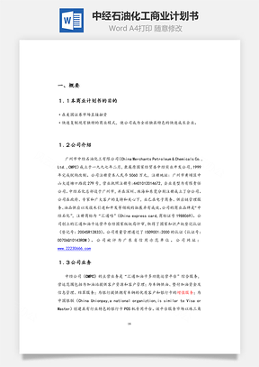 中经石油化工商业计划书word文档