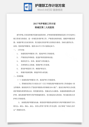 护理部工作计划方案word文档