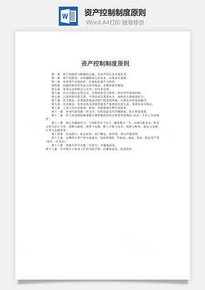 资产控制制度原则Word模板
