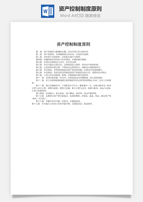 资产控制制度原则word文档